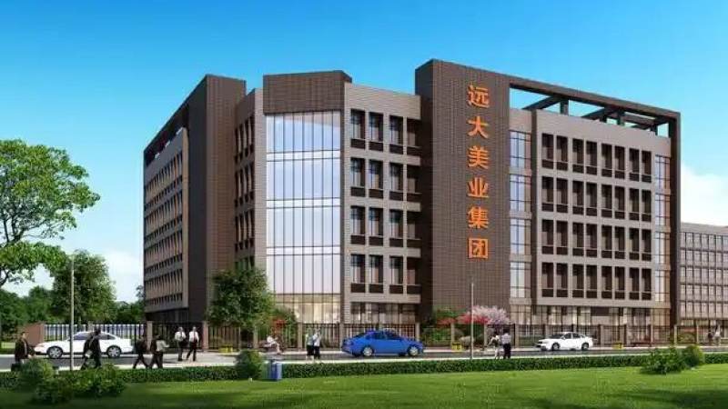 体育内容平台的赛事版权采购格局变化与背后逻辑